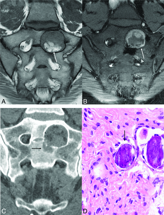 FIG 5.