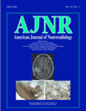American Journal of Neuroradiology: 23 (4)