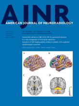 American Journal of Neuroradiology: 41 (3)